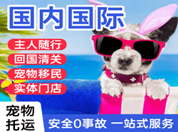 黑河机场快递国际宠物托运 【国